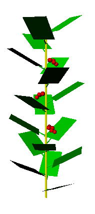 simpletomato_crop.png simpletomato_crop.png
