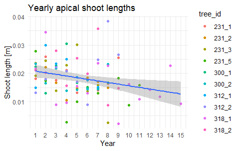 yearly_shoots_tiny_spruce.png yearly_shoots_tiny_spruce.png