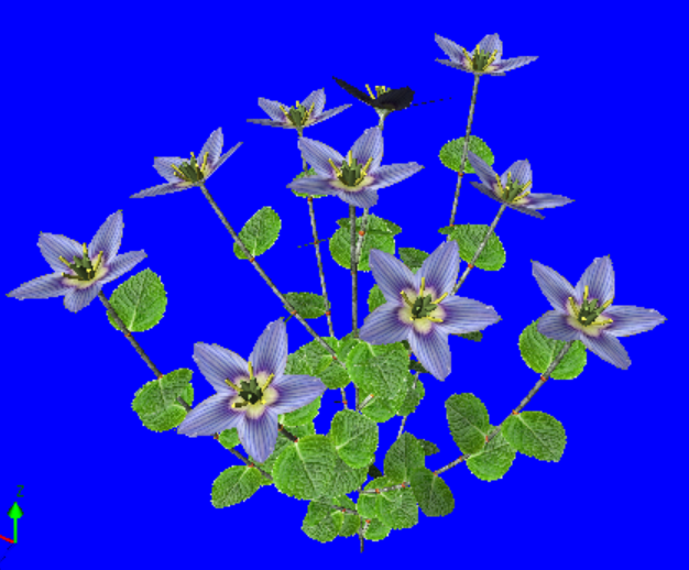 beginnerstut_image91.png beginnerstut_image91.png
