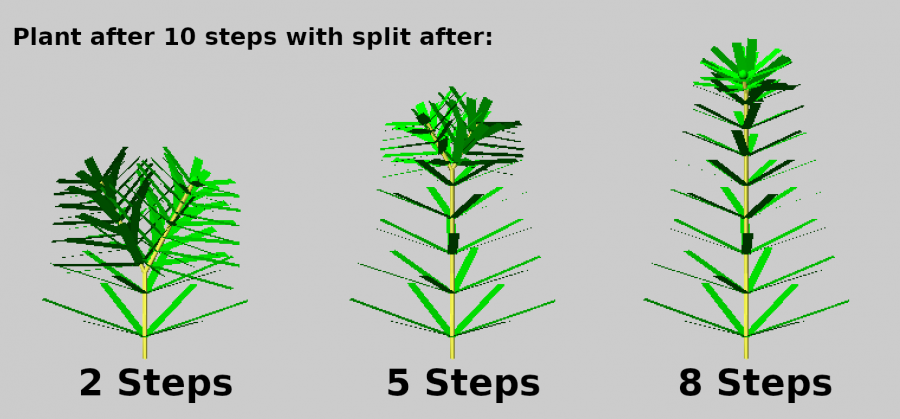 split_plant.png split_plant.png