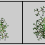 sensorgrid.png
