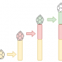 ca_tut_b2sb_steps_color_length.png