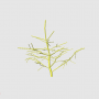 initial_latb_tiny_tree.png