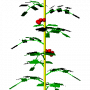 simpletomatoleaflets_crop.png