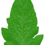 leaflet.png