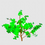with_a_buds_step1_leaf_tiny_tree.png
