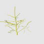 initial_tiny_tree.png