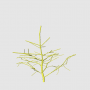 initial_leaf_tiny_tree.png