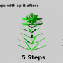 split_plant.png