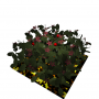growmanyfruits5.png