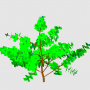 with_a_buds_step2_leaf_tiny_tree.png