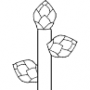 ca_tut_latbud.png